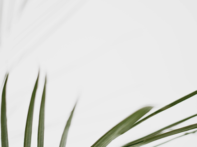 2024 Q3 COURSE 2024 Q3 COURSE